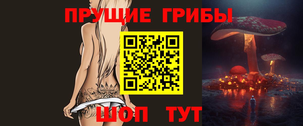 Галлюциногенные грибы GOLDEN TEACHER  где продают   Шахты  Псилоцибиновые грибы прущие грибы  Вход с VPN 